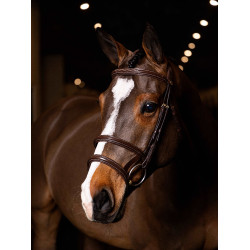Bridon double muserolle LeMieux Kudos Havane / laiton Marron