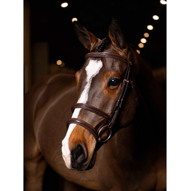 Bridon double muserolle LeMieux Kudos Havane / laiton Marron