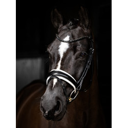 Bridon LeMieux Kudos Patent dressuur Zwart / wit