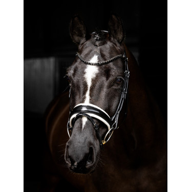 Bridon LeMieux Kudos Patent dressuur Zwart / wit Bridon LeMieux Kudos Patent dressuur Zwart / wit