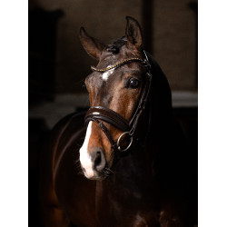 Bridon LeMieux Kudos Patent dressage Marron Bridon LeMieux Kudos Patent dressage Marron