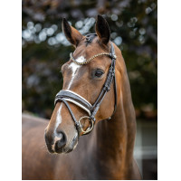Bridon LeMieux Kudos Patent dressage Marron / blanc Bridon LeMieux Kudos Patent dressage Marron / blanc
