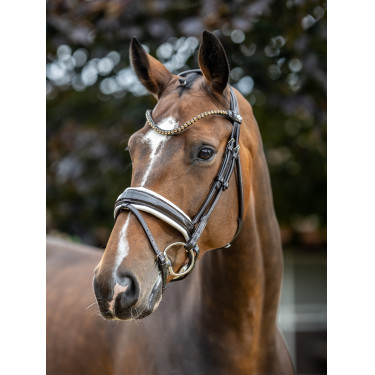 Bridon LeMieux Kudos Patent dressage Marron / blanc