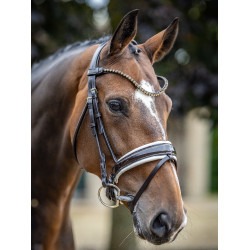 Bridon LeMieux Kudos Patent dressage Marron / blanc