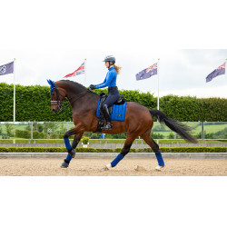 Tapis de selle LeMieux Loire Dressage Square Benetton Bleu Tapis de selle LeMieux Loire Dressage Square Benetton Bleu