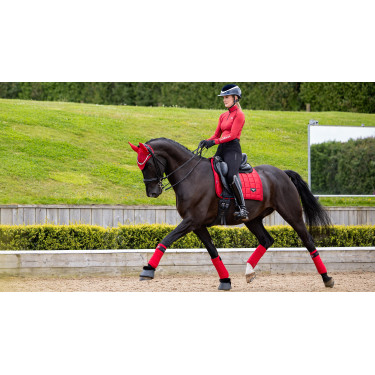 Tapis de selle LeMieux Loire Dressage Square Tapis de selle LeMieux Loire Dressage Square