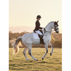 Veste de concours LeMieux Zoe Marine Bleu marine