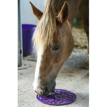 Pâte à lécher Likit Graze Paste