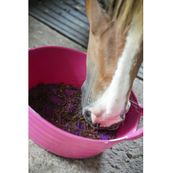 Pâte à lécher Likit Graze Paste