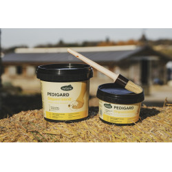 Pediguard Ravene Onguent blond