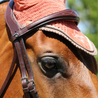 Bridon Mexicaans gecombineerde Dy'on New English Collection Bruin