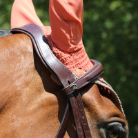 Bridon Mexicaans gecombineerde Dy'on New English Collection Zwart