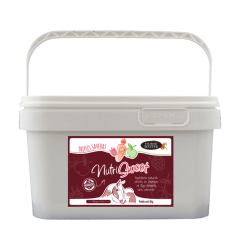 Nutri Sweet triple saveurs Horse Master