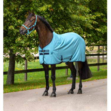 Boxdeken Horseware Amigo Delphinium 0g