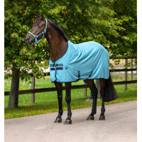 Chemise de box Horseware Amigo Delphinium 0g Figue / marine Violet