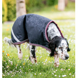 Hondenkleed Amigo Ripstop Horseware Hondenkleed Amigo Ripstop Horseware