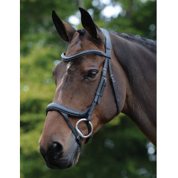 Anatomisch hoofdstel Collegiate ComFiTec Vogue Zwart