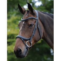 Bridon anatomique Collegiate ComFiTec Vogue Noir Bridon anatomique Collegiate ComFiTec Vogue Noir