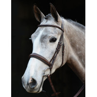Bridon Collegiate met Mono Crown kopstuk Bruin