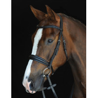 Bridon Collegiate à têtière Mono Crown Noir Bridon Collegiate à têtière Mono Crown Noir