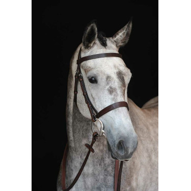 Bridon Collegiate Neusriem IV Bruin