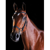 Bridon Collegiate ComFiTec Zwart Bridon Collegiate ComFiTec Zwart