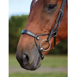 Bridon Collegiate ComFiTec Noir Bridon Collegiate ComFiTec Noir