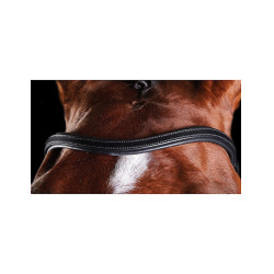 Bridon Collegiate ComFiTec Noir Bridon Collegiate ComFiTec Noir