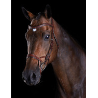 Bridon Collegiate ComFiTec Bruin