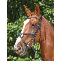 Bridon Collegiate ComFiTec Grackle Noir Bridon Collegiate ComFiTec Grackle Noir