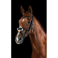 Bridon Collegiate ComFiTec Grackle Noir Bridon Collegiate ComFiTec Grackle Noir