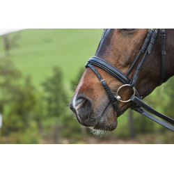 Bridon muserolle combiné Collegiate Syntovia+ Noir