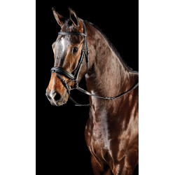 Bridon muserolle combiné Collegiate Syntovia+ Noir