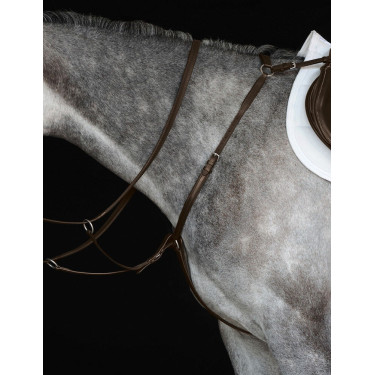 Collier de chasse IV Collegiate Collier de chasse IV Collegiate