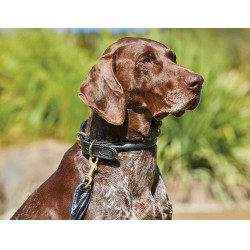 Halsband voor honden Weatherbeeta rond leer Halsband voor honden Weatherbeeta rond leer