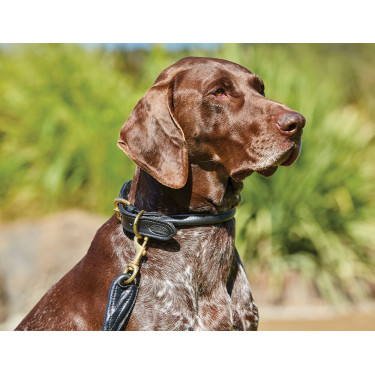 Halsband voor honden Weatherbeeta rond leer Halsband voor honden Weatherbeeta rond leer