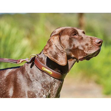 Collier pour chien cuir Weatherbeeta Marron Collier pour chien cuir Weatherbeeta Marron