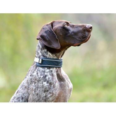Collier pour chien Weatherbeeta Explorer Collier pour chien Weatherbeeta Explorer