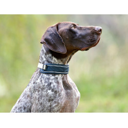 Collier pour chien Weatherbeeta Explorer Marine Bleu marine