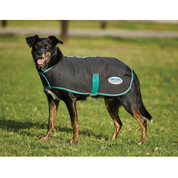 Couverture pour chien 220g Weatherbeeta Green-Tec 900D Noir / vert bouteille