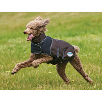 Hondenhoes 100g Weatherbeeta ComFiTec Ultra Cozi Antraciet / blauw / wit