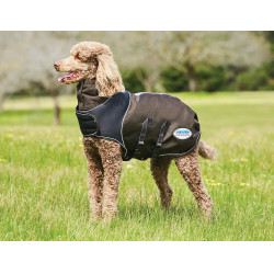 Couverture pour chien 100g Weatherbeeta ComFiTec Ultra Cozi Anthracite / bleu / blanc Couverture pour chien 100g Weatherbeeta ComFiTec Ultra Cozi Anthracite / bleu / blanc