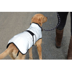 Couverture pour chien 220g Weatherbeeta réflechissante Argent Couverture pour chien 220g Weatherbeeta réflechissante Argent