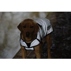 Couverture pour chien 220g Weatherbeeta réflechissante Argent Couverture pour chien 220g Weatherbeeta réflechissante Argent