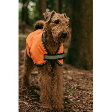 Couverture pour chien Weatherbeeta 300D réflechissante Couverture pour chien Weatherbeeta 300D réflechissante