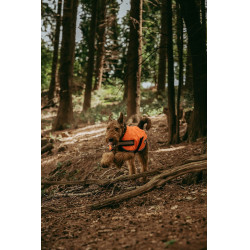Couverture pour chien Weatherbeeta 300D réflechissante Orange