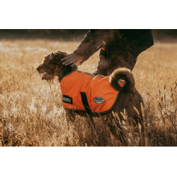 Couverture pour chien Weatherbeeta 300D réflechissante Orange