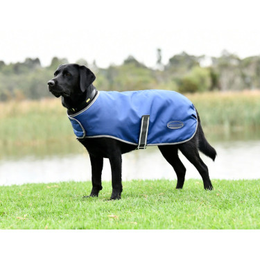 Hondenhoes Weatherbeeta ComFiTec Hondenhoes Weatherbeeta ComFiTec