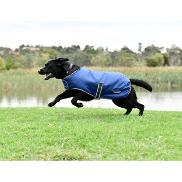 Hondenhoes Weatherbeeta ComFiTec Hondenhoes Weatherbeeta ComFiTec
