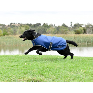 Hondenhoes Weatherbeeta ComFiTec Hondenhoes Weatherbeeta ComFiTec